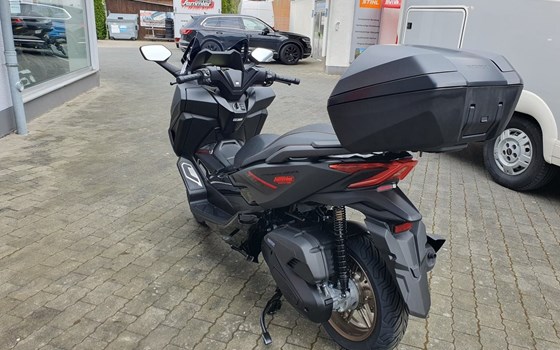 Gebrauchtmotorrad Honda Forza 125 - Bild 13