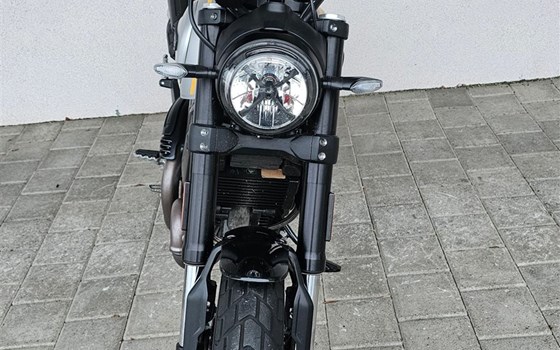 Motorrad Occasion Ducati Scrambler 1100 Sport - Bild 3