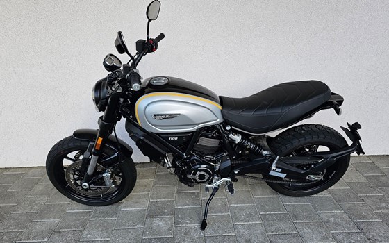 Motorrad Occasion Ducati Scrambler 1100 - Bild 2