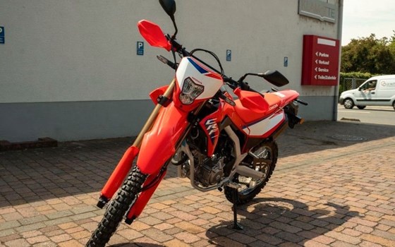 Neufahrzeug Honda CRF300L - Bild 2