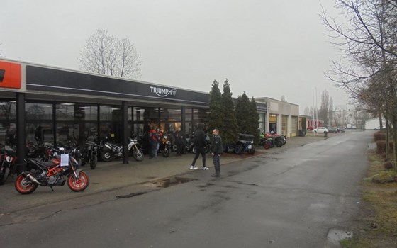 Gebrauchtmotorrad Triumph Tiger 900 Rally Pro - Bild 10