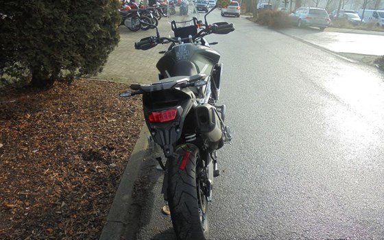 Gebrauchtmotorrad Triumph Tiger 900 Rally Pro - Bild 4