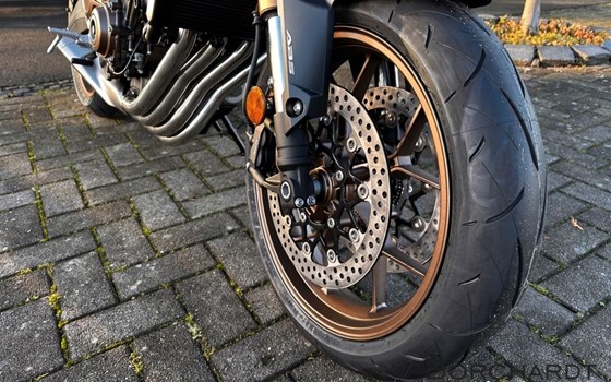 Neufahrzeug Honda CB650R E-Clutch - Bild 11