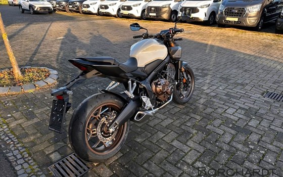 Neufahrzeug Honda CB650R E-Clutch - Bild 5