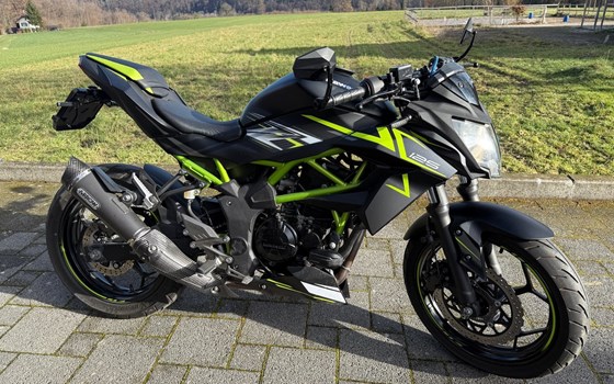 Motorrad Occasion Kawasaki Z125 - Bild 4