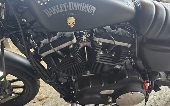 Gebrauchtmotorrad Harley-Davidson Sportster XL 883 N Iron - Bild 1