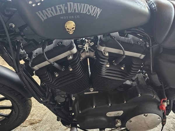 Gebrauchtmotorrad Harley-Davidson Sportster XL 883 N Iron