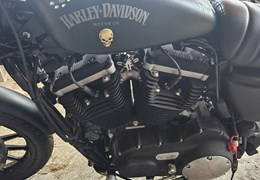 Gebrauchte Harley-Davidson Sportster XL 883 N Iron