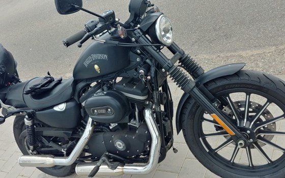 Gebrauchtmotorrad Harley-Davidson Sportster XL 883 N Iron - Bild 3