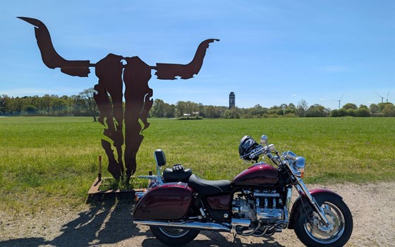 Gebrauchtmotorrad Honda F6 - Bild 3