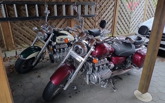 Gebrauchtmotorrad Honda F6 - Bild 4