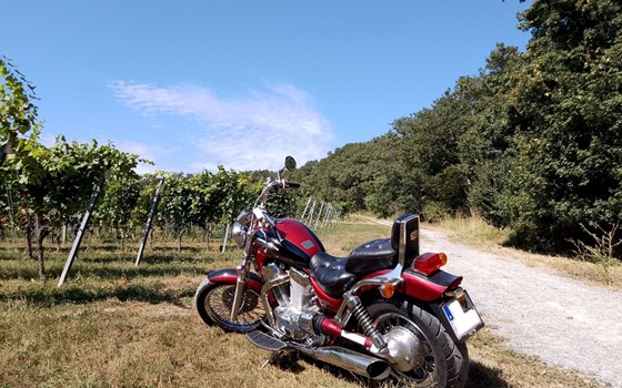 Gebrauchtmotorrad Suzuki Intruder VS 1400 - Bild 1