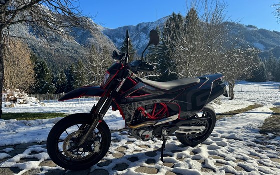 Neufahrzeug GASGAS SM 700 - Bild 2