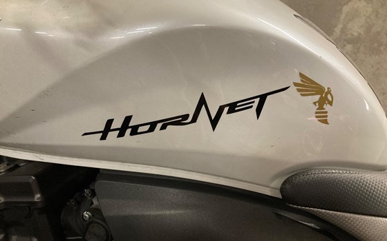 Gebrauchtmotorrad Honda CB 600 F Hornet - Bild 5