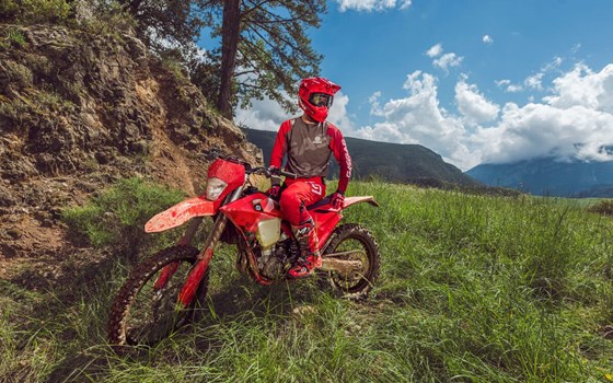 Neufahrzeug GASGAS EC 350F - Bild 8