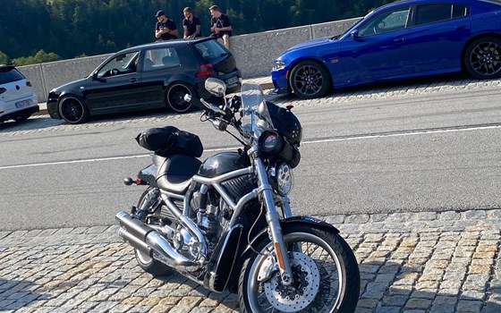 Gebrauchtmotorrad Harley-Davidson V-Rod VRSCAW - Bild 1