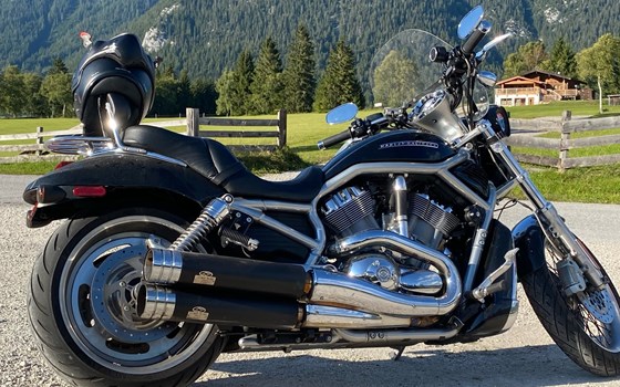 Gebrauchtmotorrad Harley-Davidson V-Rod VRSCAW - Bild 2