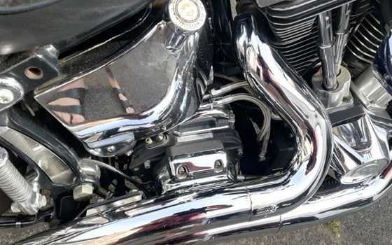 Gebrauchtmotorrad Harley-Davidson Softail Evo 1340 - Bild 2