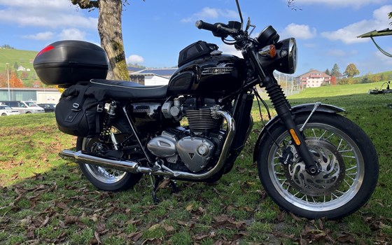 Offerta Triumph Bonneville T120 - Immagine 4