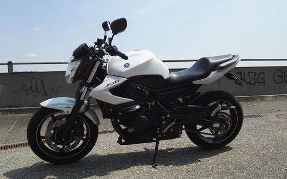 Offerta Yamaha XJ6 - Immagine 1