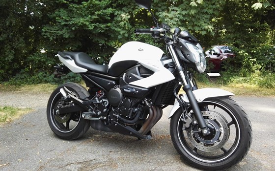 Offerta Yamaha XJ6 - Immagine 3