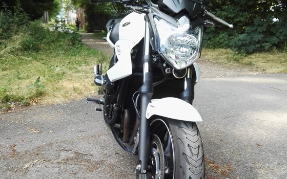 Offerta Yamaha XJ6 - Immagine 4