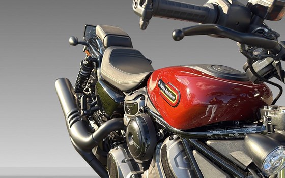 Offerta Harley-Davidson Nightster Special - Immagine 9