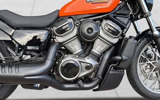 Offerta Harley-Davidson Nightster Special - Immagine 5