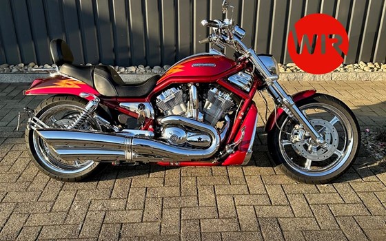 Motorrad Occasion Harley-Davidson Street Rod - Bild 1