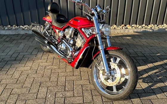 Motorrad Occasion Harley-Davidson Street Rod - Bild 2