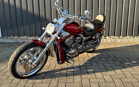 Motorrad Occasion Harley-Davidson Street Rod - Bild 3