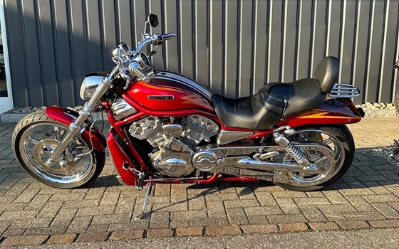 Motorrad Occasion Harley-Davidson Street Rod - Bild 4