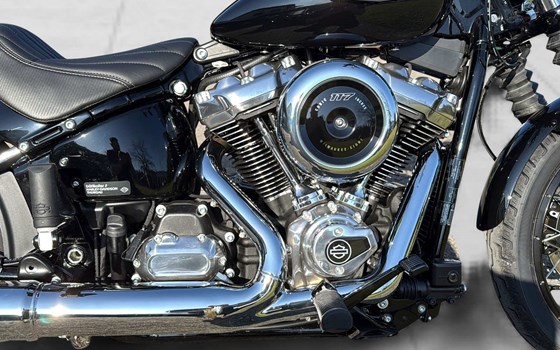Motorrad Occasion Harley-Davidson Street Bob 117 - Bild 5