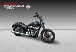 Neumotorrad Harley-Davidson Street Bob 117