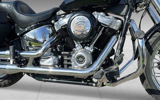 Motorrad Occasion Harley-Davidson Softail Standard FXST - Bild 5