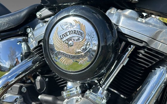 Motorrad Occasion Harley-Davidson Softail Standard FXST - Bild 9