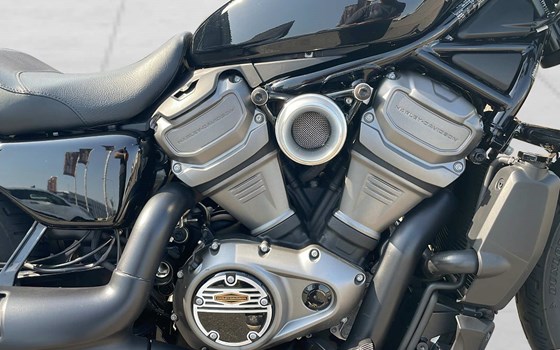 Motorrad Occasion Harley-Davidson Nightster - Bild 9