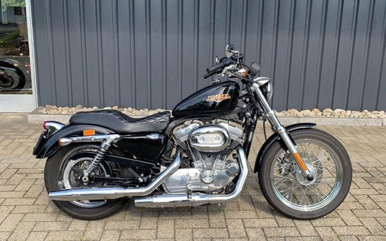 Motorrad Occasion Harley-Davidson Sportster XL 883 L SuperLow - Bild 1