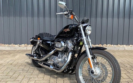 Motorrad Occasion Harley-Davidson Sportster XL 883 L SuperLow - Bild 2