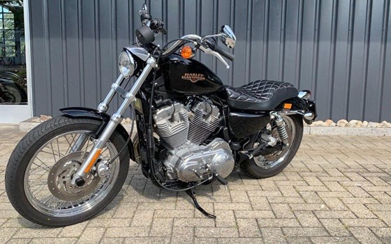 Motorrad Occasion Harley-Davidson Sportster XL 883 L SuperLow - Bild 3