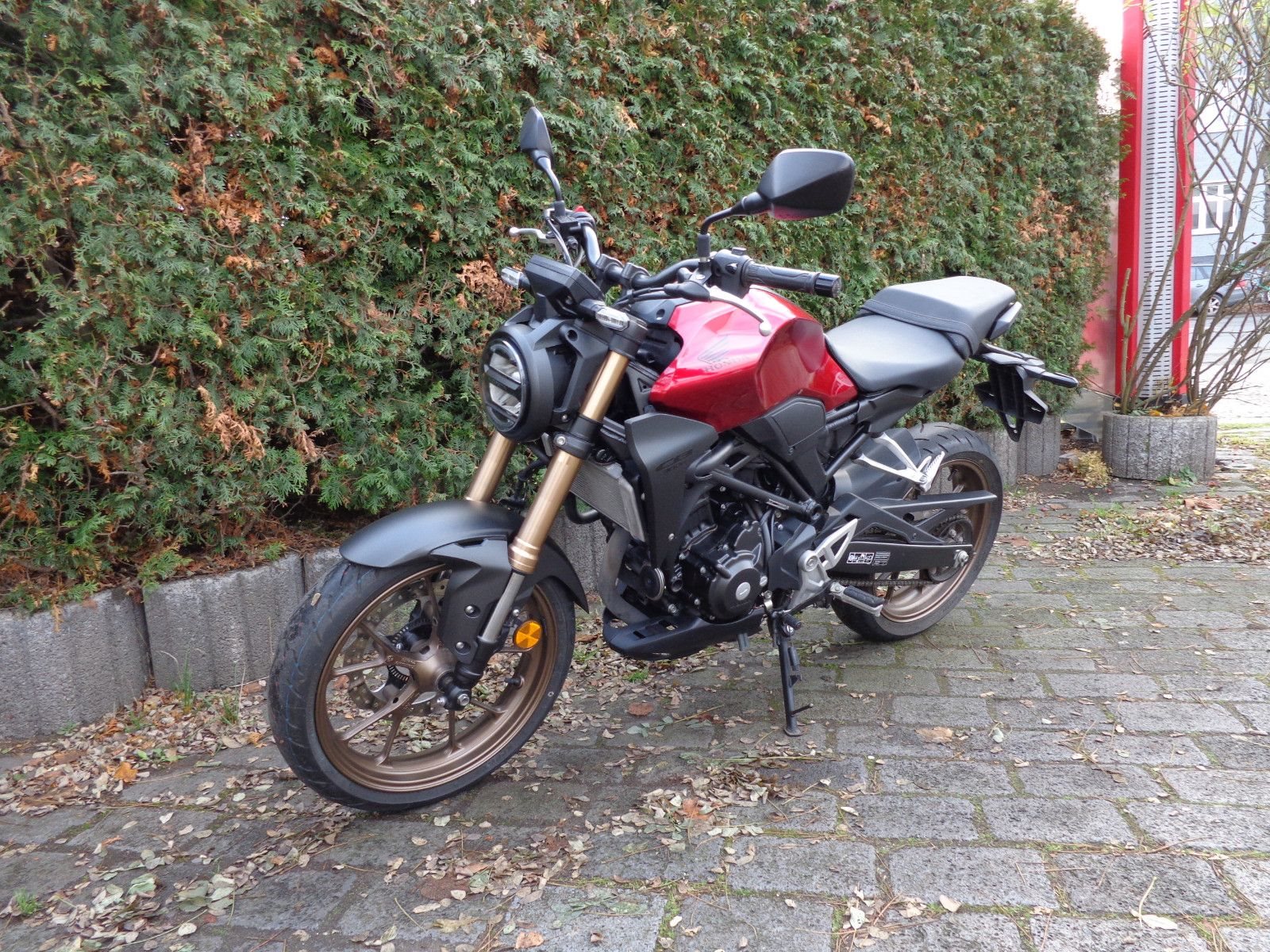 Honda CB300R