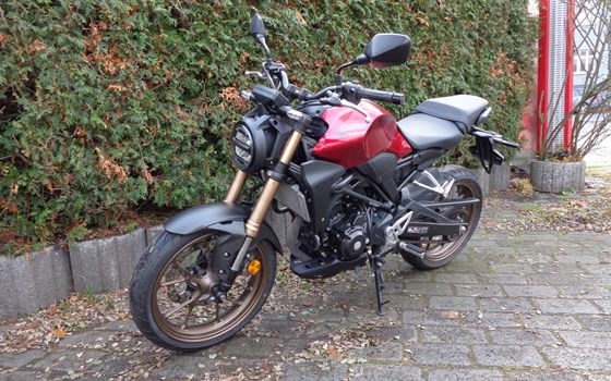 Gebrauchtmotorrad Honda CB300R - Bild 1