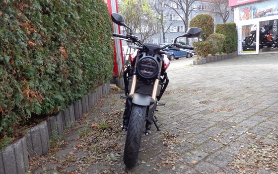 Gebrauchtmotorrad Honda CB300R - Bild 2