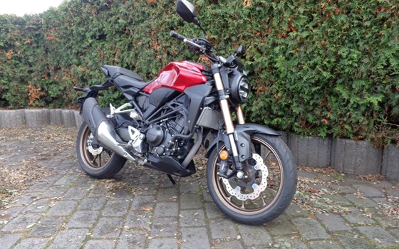 Gebrauchtmotorrad Honda CB300R - Bild 3