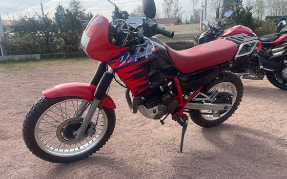 Gebrauchtmotorrad Honda NX 250 Dominator - Bild 5