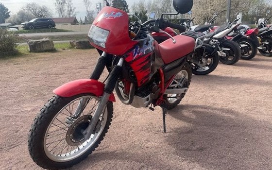 Gebrauchtmotorrad Honda NX 250 Dominator - Bild 6
