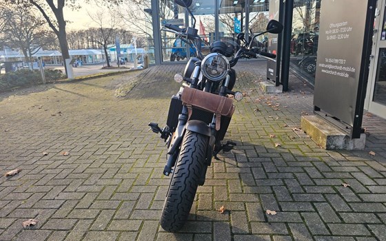 Gebrauchtmotorrad QJ Motor SRV 550 ST - Bild 5