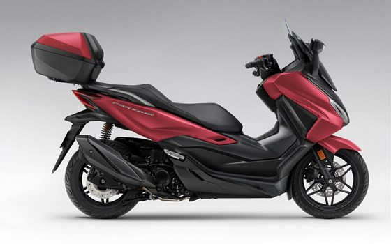 Neufahrzeug Honda Forza 350 - Bild 2