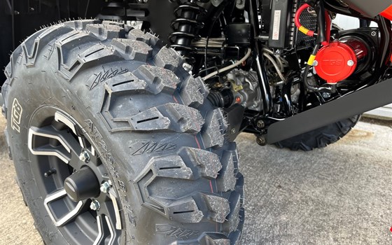 Neufahrzeug TGB Blade 560 ABS - Bild 4