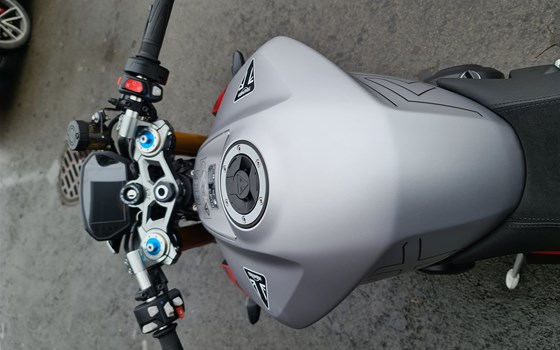 Neufahrzeug Triumph Street Triple 765 RX - Bild 8